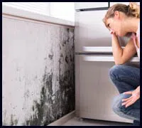 Greenacres Restoration Expert Greenacres, FL 561-336-5819 Greenacres Restoration Expert Greenacres, FL 561-336-5819 - mold-sidebar