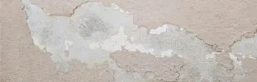 logo-image - water-damage-subbanner